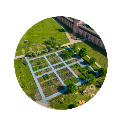 Plot purchase home loan